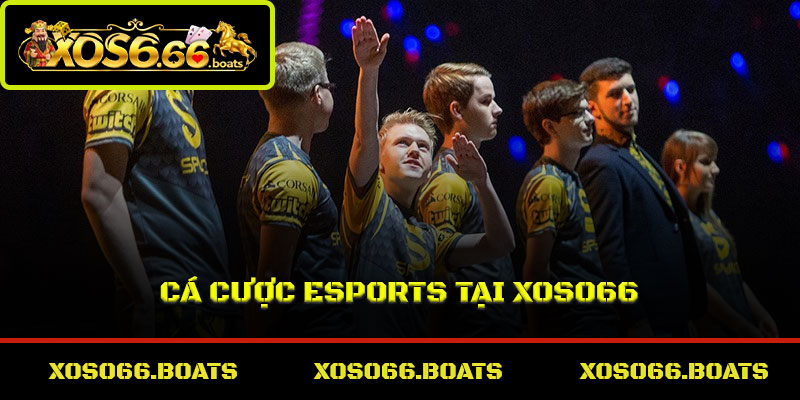 Cá cược eSports tại Xoso66