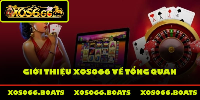 Giới thiệu Xoso66 về tổng quan
