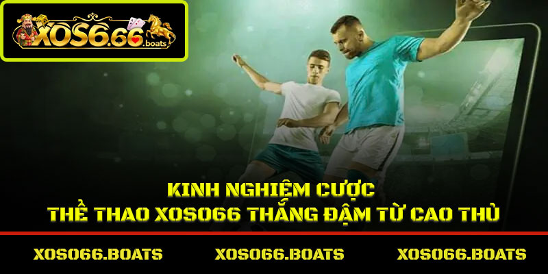 Kinh nghiệm cược thể thao Xoso66 thắng đậm từ cao thủ