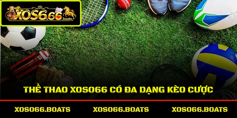 Thể thao Xoso66 có đa dạng kèo cược